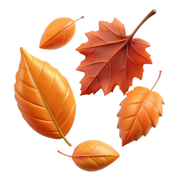 November’s Charm, November Special Days 2025,