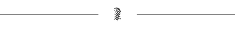 Forest Fern Divider | Blog | Woodland Forest Graphics and Creative Resources